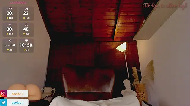 Show de DavidC_ na webcam