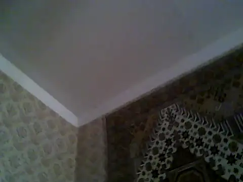 FayInessaKiss – Live XXX-chat