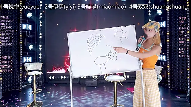 Show webcam de cdyyds003