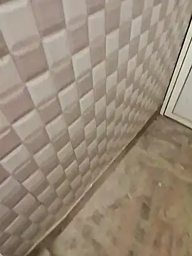 Show Webcam de 67sanju