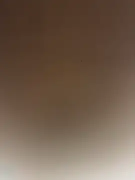 SLNatasha Adlı Modelin Canlı XXX Sohbeti