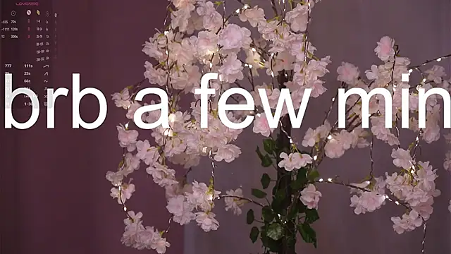 Chat +18 de FancyEsten ao vivo