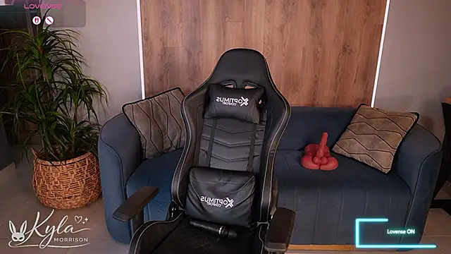 KylaMorrison Live XXX-chat