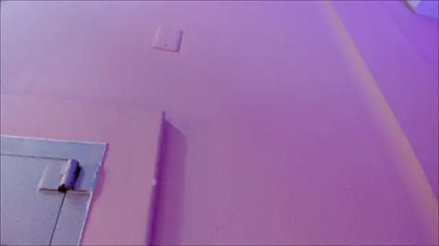 lia_ass_ – Live XXX-chat