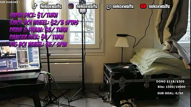 Pertunjukan Kamera Web nekoxwaifu