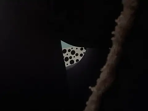 Spielzeugtwink 现场XXX聊天