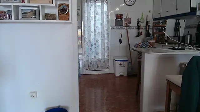 Show webcam de Nudelschwanz