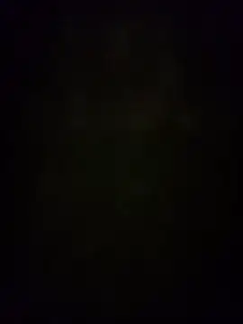 ParlousCarpet Live XXX-chat