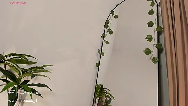 Show de sushiboxxx na webcam