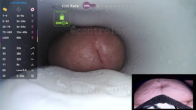 controlmytoys webcam show