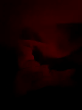 xx_priti 라이브 XXX 채팅