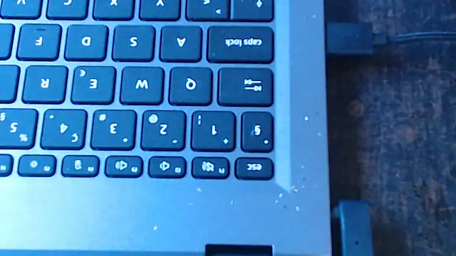 Pufulettt Webcam Show