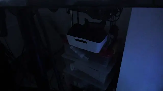 Czat XXX na żywo – daniiphoeniixx