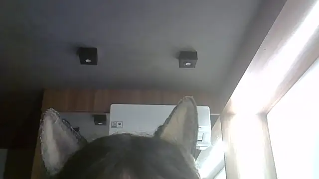 SkinnyKitten: απευθείας συνομιλία ΧΧΧ