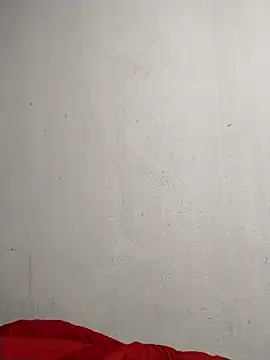 dorothyxx 网络视讯表演