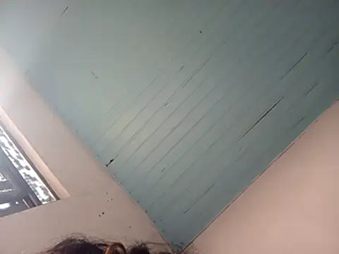 Show de webcam de taigaakko