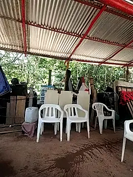 Brenda_Berck_ Chat XXX live