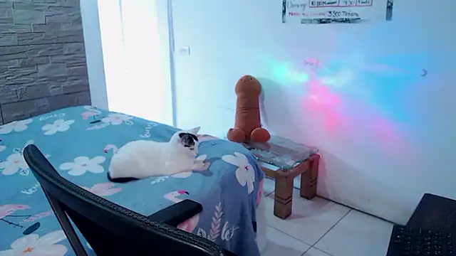 girl_milk2 Adlı Modelin Canlı XXX Sohbeti