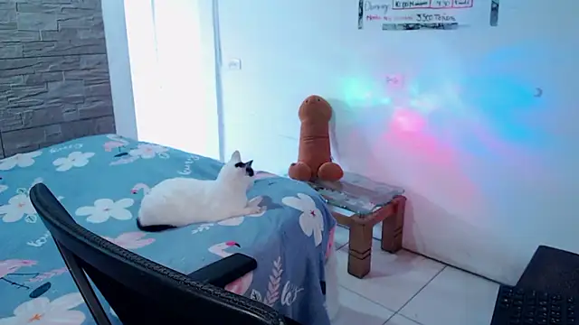 Živý XXX chat girl_milk2