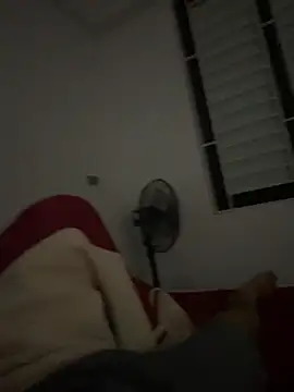 عرض كام vietAnhzip