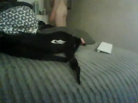 Tom4Womans Live XXX-chat