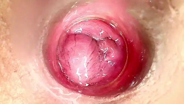 Show de karol_kane na webcam