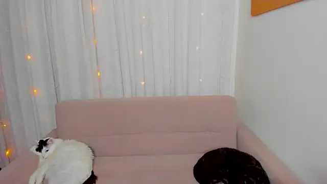 Chat +18 de FieryHeart ao vivo