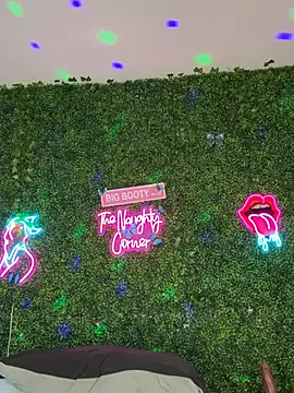 Show webcam de RenaThickAss