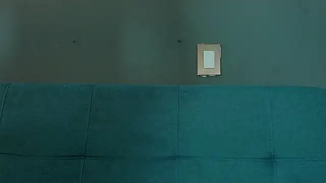 Raymond_Smith_ Show in webcam