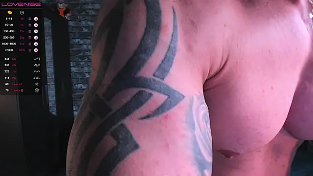 Show de mark_normal na webcam