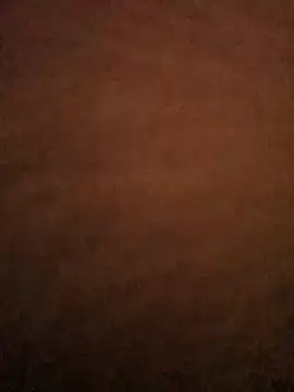 freakzmexx 现场XXX聊天