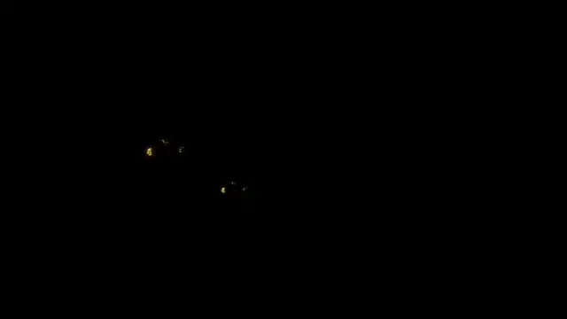 دردشة denise_sweetbunny الجنسية المباشرة