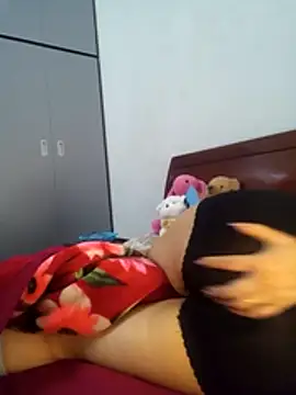 NIANSED's Webcam Show