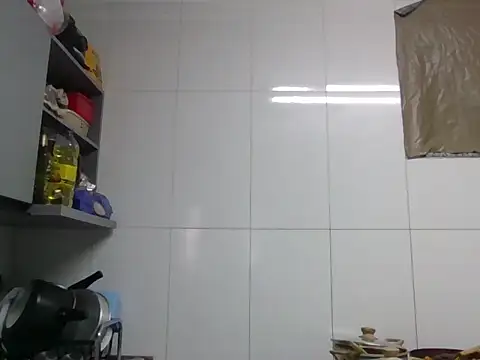 Show de vivicortez na webcam