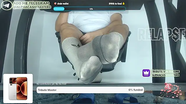 Show de webcam de alphacashmaster8