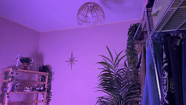 _vixenp 网络视讯表演