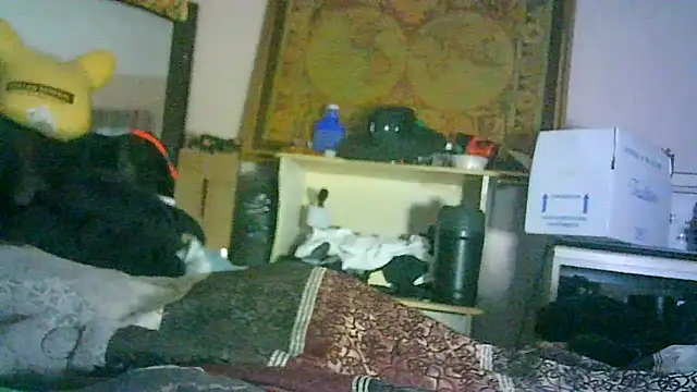 ON3YOULLN3VER_FIR3: онлайн-секс-чат