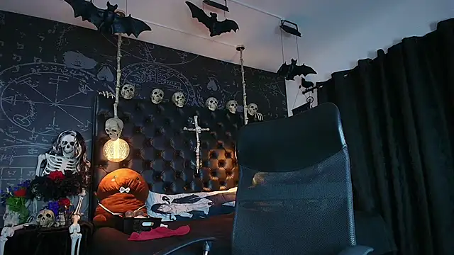 AlexHoe_n Webbikameraesitys