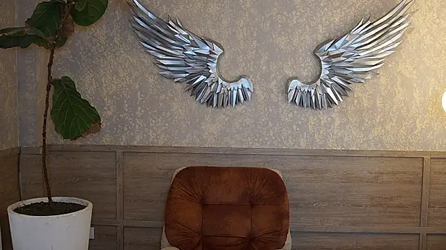 แชท XXX สดของ Ethan_occonor