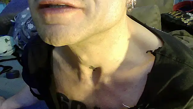 druckfug's Webcam Show