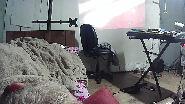 دردشة jaxx12369 الجنسية المباشرة