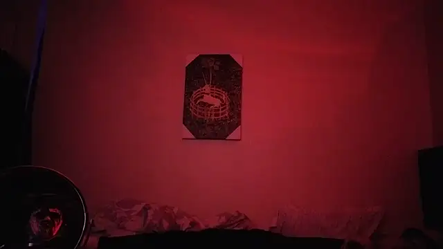 hailzeffn webkamerás műsora