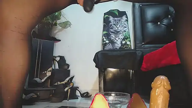 ZaraNoor-777 Webcamshow