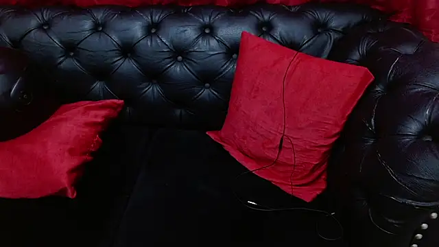 Anthony_Raysのウェブカメラショー