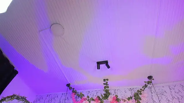 Bonny_and_carrot 现场XXX聊天