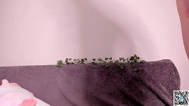 emmelieflorence – Live XXX-chat