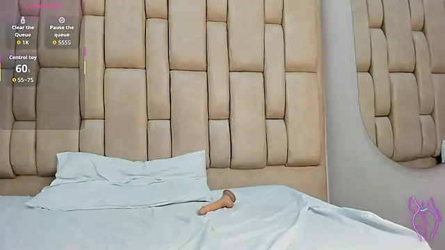 Sunny_OS Webcam show