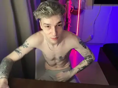 davesinnern Webbikameraesitys