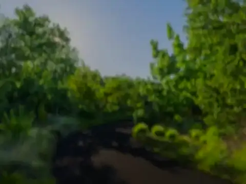 babystripchat19 Live XXX-chat