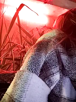 دردشة Cataleya_16 الجنسية المباشرة